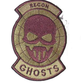 Ghost Recon Embroidery Velcro Patch – Large - Tan Net